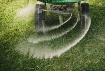 Fertilizing & Pest Control