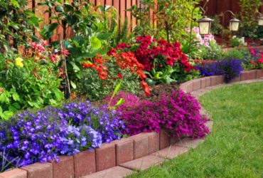 Gardens, Shrubbery and Mulch