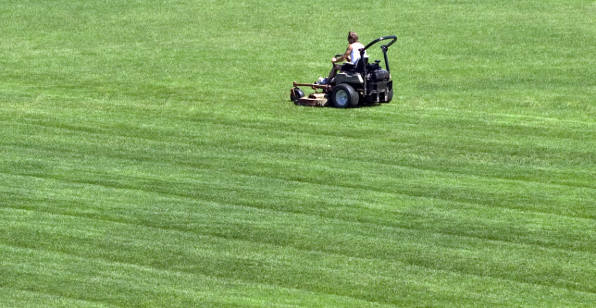 Lawn Maintenance